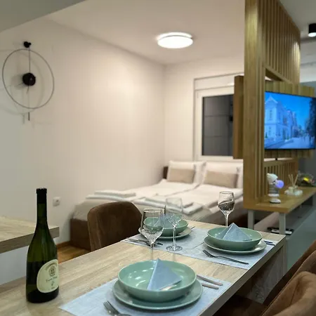 3 & Free Parking Garage Apartment Vrnjacka Banja