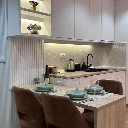 3 & Free Parking Garage Apartment Vrnjacka Banja